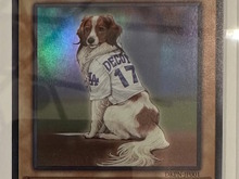 大谷翔平の愛犬・デコピン、遊戯王カードになる―KONAMIから粋なプレゼント!フレーバーテキストも素敵 画像