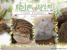 リアルで可愛い「一番くじ 爬虫類&両生類」第2弾!ラストワン賞はペロッと舌を出したアオジタトカゲ 画像