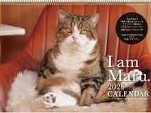 世界を魅了した「すべりこむ猫」まるちゃん 癒やし満載の2026年版カレンダーが登場! 画像