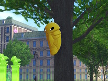 『ポケモンレジェンズZ-A』では虫ポケモンたちが“密集”する―木に群がるコクーン、壁に張りつくイトマルたちにゾクリ 画像