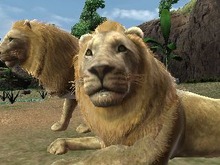 マーベラス、動物園に活気を取り戻すゲーム『アニマルリゾート』を出展 画像
