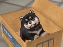 『喧嘩番長5』ゲーセンにアルバイトに子犬・・・数々のミニゲームを紹介 画像