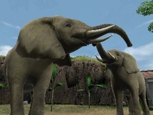 3DSの中で生き生きと動き回る動物たちを目撃『アニマルリゾート 動物園をつくろう!!』 画像