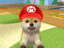 『nintendogs + cats』通常のゲームプレイでは手に入らないマリオの帽子を「いつの間に通信」で配信 画像