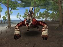 MHF『フォワード.2“跳影、熱帯の猛き眷属”』、新モンスター、新フィールドなど最新情報公開 画像