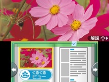魚の次は花をテーマに作りたかった ― 『花といきもの立体図鑑』社長が訊く 画像
