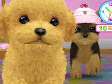 ペット育成シミュレーション最新作『かわいい仔犬3D』12月15日発売決定 画像