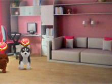 仔犬が遊びにくるよ『かわいい仔犬3D』フォトルームなど機能が明らかに 画像