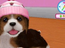 3DS『かわいい仔犬3D』、子犬たちが自分の部屋に遊びにやってくる 画像