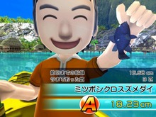 『ファミリーフィッシング』2月は「ミツボシクロスズメダイ」が放流 画像