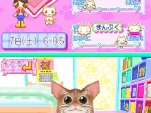 可愛らしい猫と一緒に生活『かわいい子猫DS』 画像
