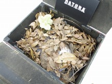 SCEから謎の黒い箱が編集部に届く ― 「DATURA」とは? 画像
