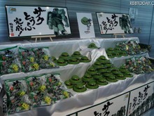 「ザクとうふ」早くも全滅!? ― 生産間に合わず、全力で増産体制強化へ 画像