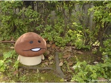 んふんふ!「なめこ座椅子」と「なめこ図鑑」で夏休みもなめこまみれ! 画像