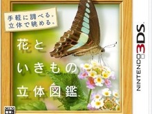 任天堂、『花といきもの立体図鑑』更新データを配信 ― 記載内容に一部誤り発覚で 画像