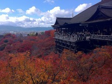 【日々気まぐレポ】第6回 ニンテンドー3DSカメラで立体紅葉写真 in 京都 画像