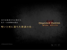 『ドラゴンズドグマ:ダークアリズン』発表以来の続報、意味深なメッセージ 画像