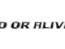 コーエーテクモ、PS Vita『DEAD OR ALIVE 5 PLUS』来春発売 画像