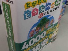 『とびだせ どうぶつの森』攻略本は12月21日発売 ― 品切れ対策もバッチリ、すぐ再出荷体制 画像