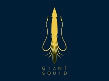 『風ノ旅ビト』を手掛けたthatgamecompany元開発者らが新規スタジオGiant Squidを設立 画像