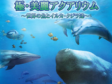 釣って育てて鑑賞、DSiウェア新作『極・美麗アクアリウム~世界の魚とイルカ・クジラ達~』6月12日配信 画像