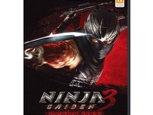 Team Ninjaの早矢仕洋介氏、Wii Uでの計画について示唆 画像