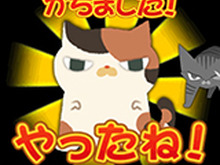 猫好き集合！ 猫を育てて、なぜか横浜市中区制覇を目指す『カリカリタッパーのやぼう』がかわいすぎる 画像