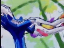 『ポケモン アートアカデミー』で描かれた、イベルタルやゼルネアスの勇姿をどうぞ 画像