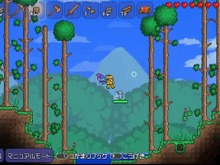 【PS Vitaダウンロード販売ランキング】『テラリア』が久々のトップ、『サカつく プロサッカークラブをつくろう！』5位ランクイン(6/13) 画像