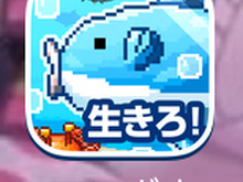 【あぴゅレビュ！】第68回 マンボウ育成ブーム到来!?『生きろ！マンボウ！』 画像