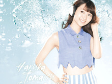 『ブレス オブ ファイア 6』主題歌は戸松遥さんが担当!収録CDに戸松さんCV「フェロー」や「先行テスト参加権」を封入 画像