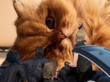『FF15』のコラが流行し、公式がコラ素材を配布!ツイッター上ではさっそくさまざまな画像が続出 画像