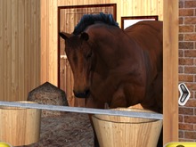 オルトプラス×フジテレビの競馬SLG『ダービーロード presented by みんなのKEIBA』事前登録開始 画像