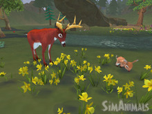 物や植物たちが住みやすい森を作ろう！『シムアニマル』Wii＆DSで来年2月発売 画像