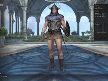 【レポート】『ドラゴンズドグマ オンライン』女性プレイヤーがガチムチファイターで金髪ツインテールプリーストと冒険 画像