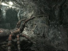 Wii版『biohazard』公式サイトのクリーチャーズラボコーナー、今週は「ウェブスピナー」と「ブラックタイガー」 画像