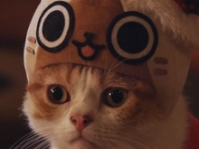 サンタなアイルーに扮した猫が！WEB限定『モンハン』CMが超キュート 画像