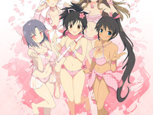 PS4『閃乱カグラ EV 桜EDITION』3月発売…お得価格でDLC「桜水着セット」も付属 画像