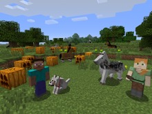【Wii U DL販売ランキング】『MINECRAFT:Wii U EDITION』連続首位、 『罪と罰 地球の継承者』ランクイン(5/2) 画像
