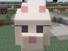 【ひと息アニメ】『新・ゲーマーと猫の日常』Bugってニャオン~マイクラせかいへようこそ~ 画像