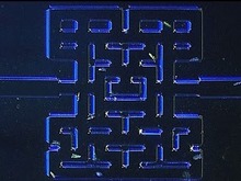 顕微鏡レベルで『パックマン』再現!ノルウェーの大学による微生物研究 画像