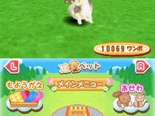 仔犬と仔猫が同時に遊べる『まちのペット屋さんDS2 〜ワンニャン333匹大集合〜』 画像