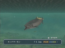 『フィッシュアイズWii』公式サイト更新、新コンテンツ「レポート」公開 画像