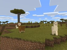 『Minecraft』Windows 10&モバイル版で大型アップデート!―新たに「森の洋館」が追加 画像