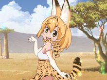 KADOKAWA・井上伸一郎が「けものフレンズ」について現状を報告─「製作委員会とヤオヨロズの意見に大きな溝」「今後についてどうするべきか相談を開始」 画像