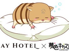 『夢キャス』×「秋葉原 BAY HOTEL」予約が1月6日より開始―女性専用カプセルホテルとコラボ 画像