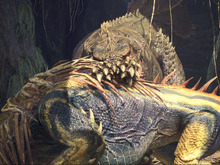 『モンハン：ワールド』無料アプデで「イビルジョー」参戦！新モンスター「ドドガマル」など新情報公開 画像