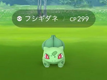 フシギダネ5,723匹分のデータから色違い出現率を徹底検証！【ポケモンGO 秋田局】 画像