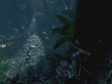 ジャングルとひとつに…『シャドウ オブ ザ トゥームレイダー』プレイ映像！【E3 2018】 画像