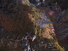 ダメージ量も競える？PC版『モンハン：ワールド』にDPSやダメージの割合を表示するMod登場 画像